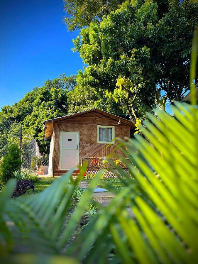 Hotel O Royal Tree Cafe And Resort Dehradun Exterior photo